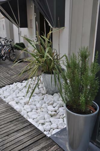 Hotel Garden