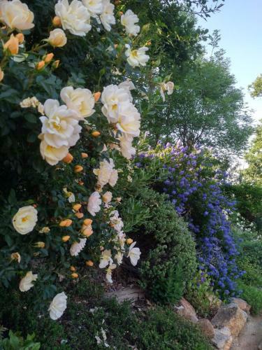 Bed & Breakfast 'l Ramassin