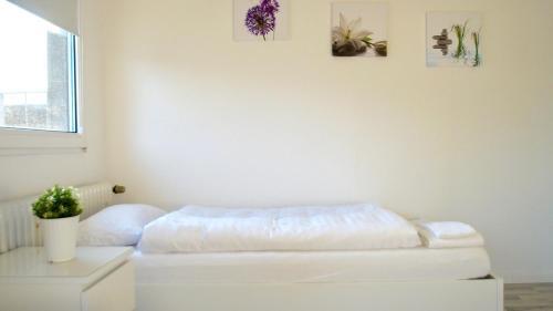 Apartamento Gl234