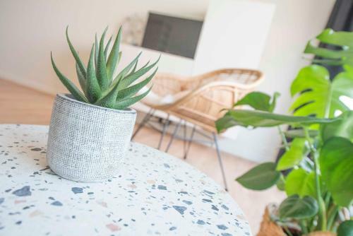 Apartamento Ostend Studio