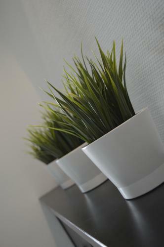 Apartamento Residentie Paola