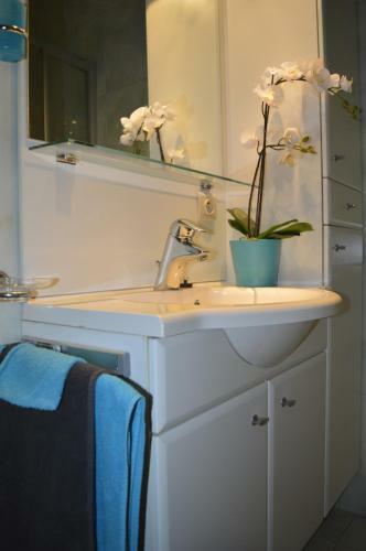 Apartamento Residentie Paola