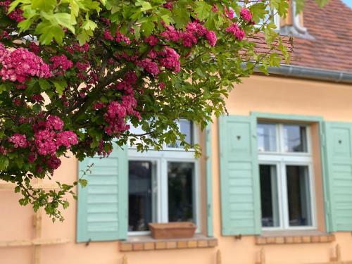 Bed & Breakfast Gut Leben Landresort