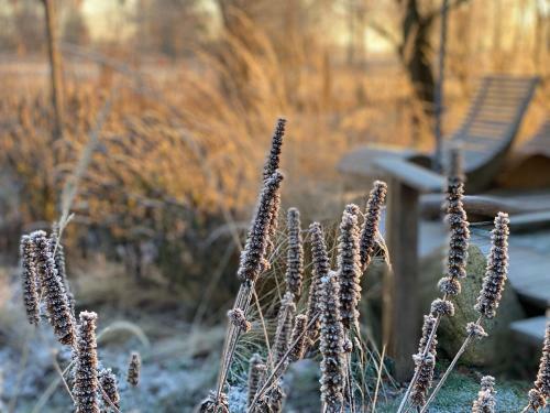 Bed & Breakfast Gut Leben Landresort