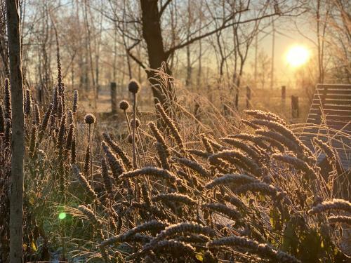 Bed & Breakfast Gut Leben Landresort