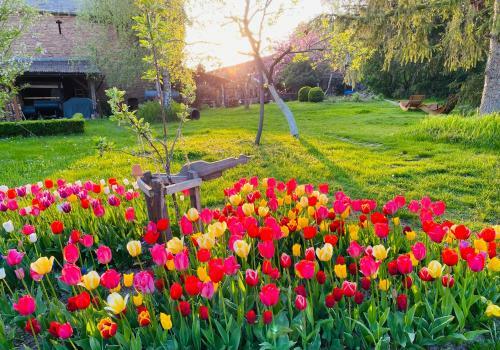 Bed & Breakfast Gut Leben Landresort