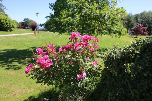 Hotel Schloss H�henried
