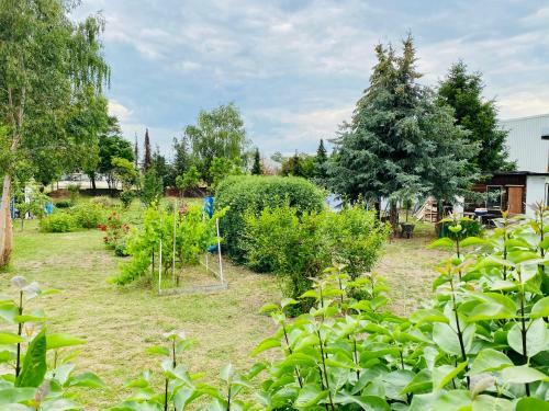 Albergue Pension Florion