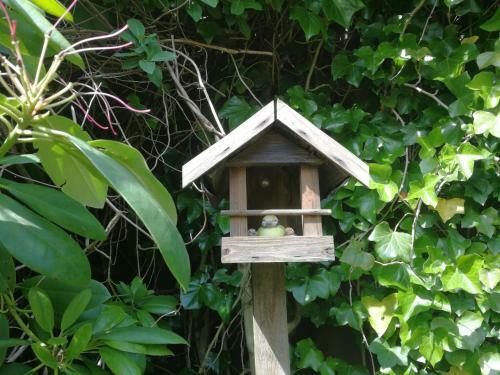 Apartamento Ferienwohnung Garten & Meer