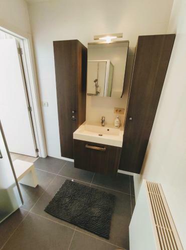 Apartamento Penthouse Met Groot Terras Oostende