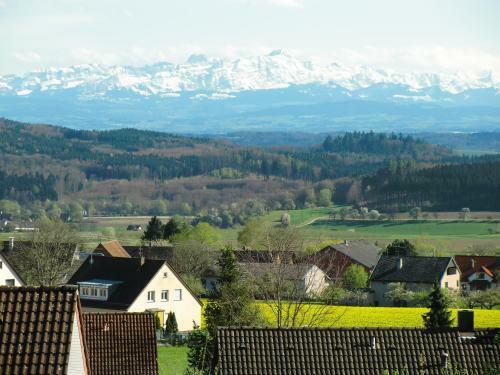 Apartamento Ferienwohnung Salem-beuren