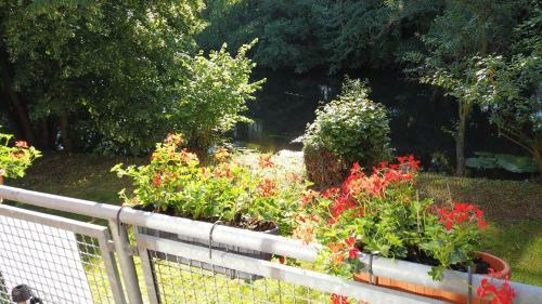 Apartamento Aurelia