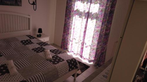 Apartamento Aurelia