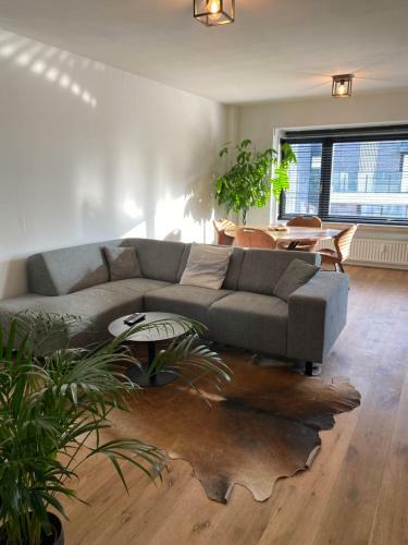 Apartamentos Casa Leon