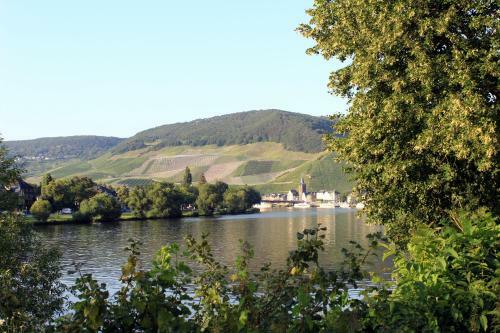 Apartamento Ferienwohnung Moselblick