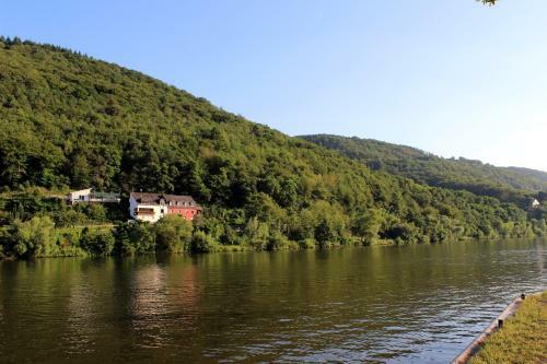Apartamento Ferienwohnung Moselblick