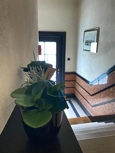 Apartamento #macleod2