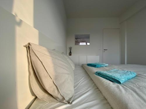 Luxury Apartment Renovated In 2021