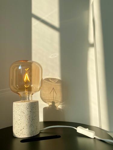 Luxury Apartment Renovated In 2021