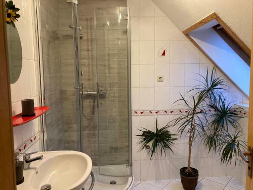 Apartamento Ferien In Sachsen