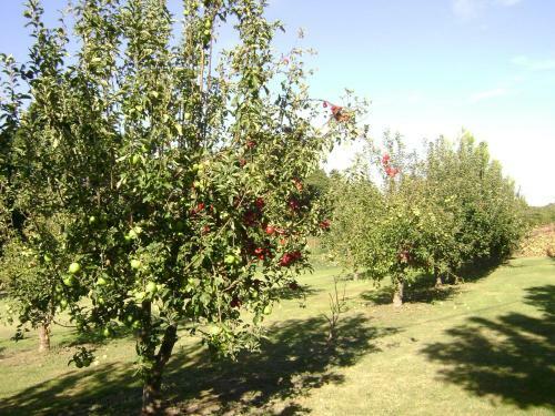 Gite Gourmandine