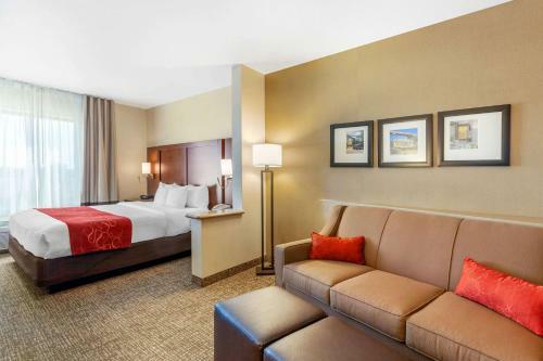 Hotel Comfort Suites Univ. Of Phoenix Stadium Area