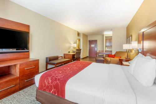 Hotel Comfort Suites Univ. Of Phoenix Stadium Area