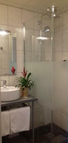 Hotel Abor