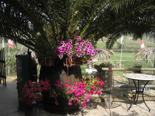 Agroturismo Agriturismo Reggia Saracena