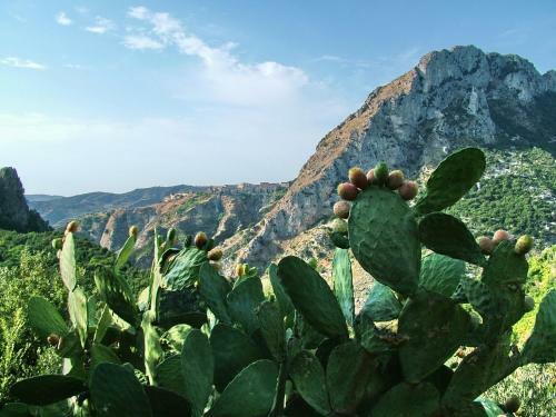 Hotel Citt� Del Sole