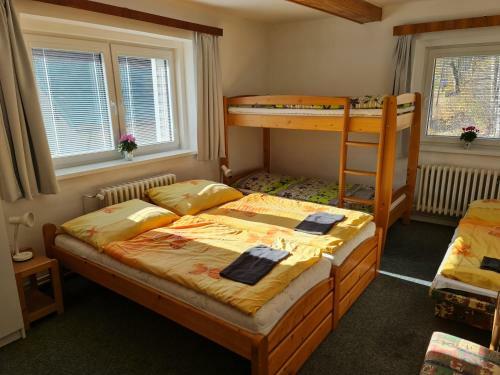 Hostal Penzion U Vleku