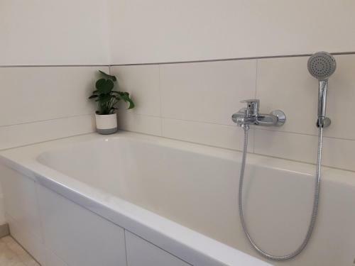 Apartamento Ferienwohnung Bergmaier