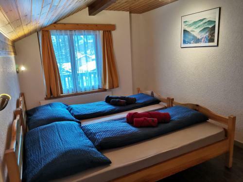 Apartamento Ferienwohnung Delphin