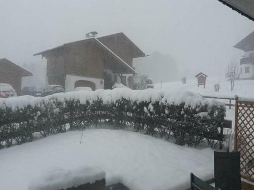 Apartamento Haus Bergheim