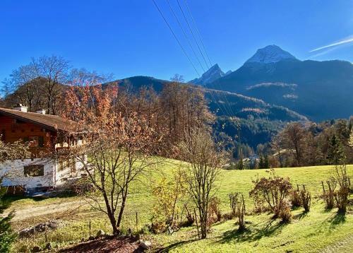 Apartamento Ferienhaus Punzenlehen