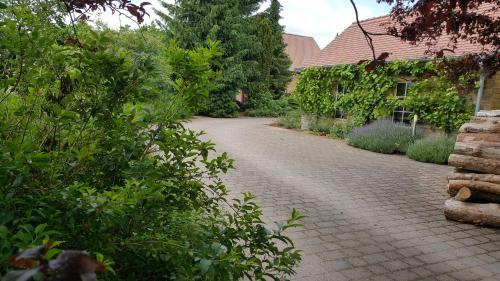 Apartamento Hofgest�t Bleesern Fewo2