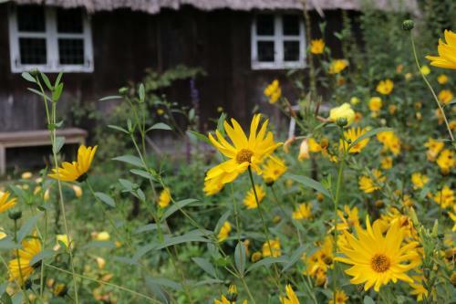 Ferienhaus Wahlers