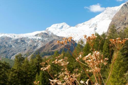 Apartamento Am Biel Saas-fee
