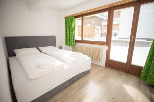 Apartamento Haus Slalom
