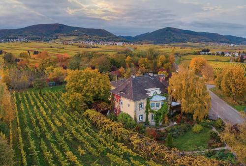 Apartamento Landhaus Messerschmitt