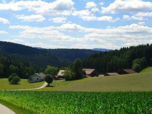 Apartamento Ferienhof Schmalzgrub