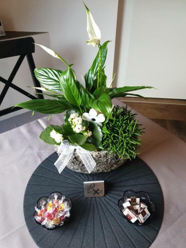 Apartamento Ferienwohnung Berger Bocholt