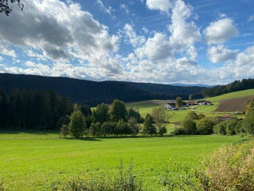 Apartamento Ferienhof Hofmann