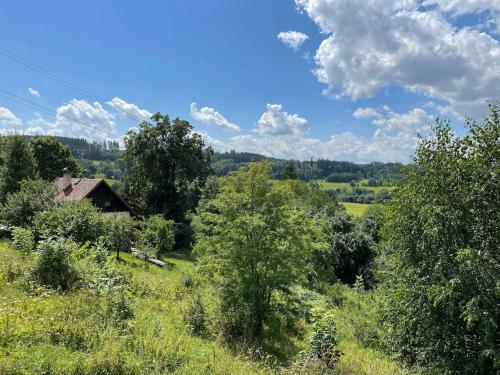 Spacious Villa In Krkono?e Mountains With Hot Tub