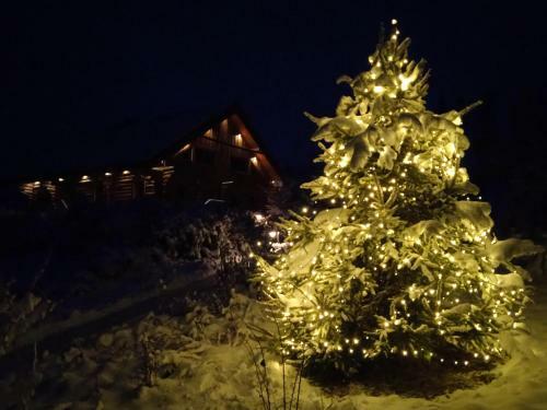 Srub Javorn� - Apartm�ny ?umava