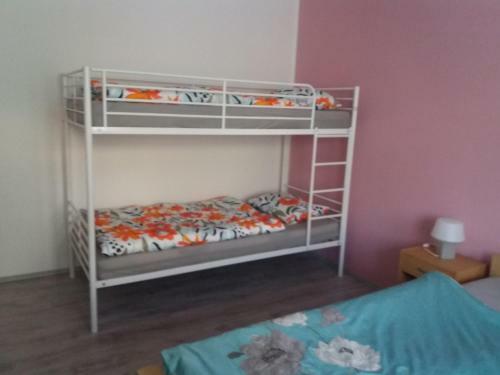 Apartm�n J�chymov Kru?n� Hory