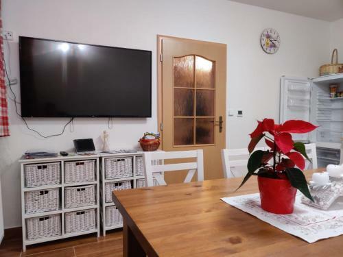 Apartm�n Pod Bo?�m Darem