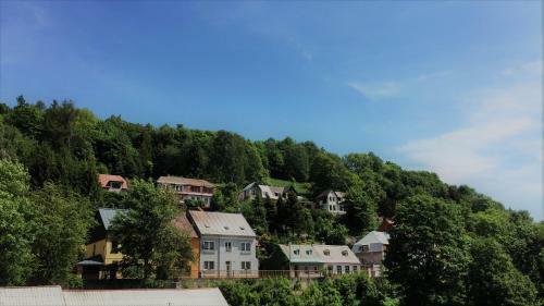 Apartment Jachymov