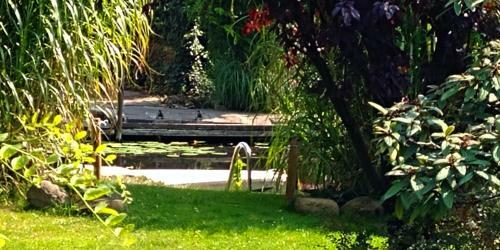 Posada Pension An Der Elsterbr�cke