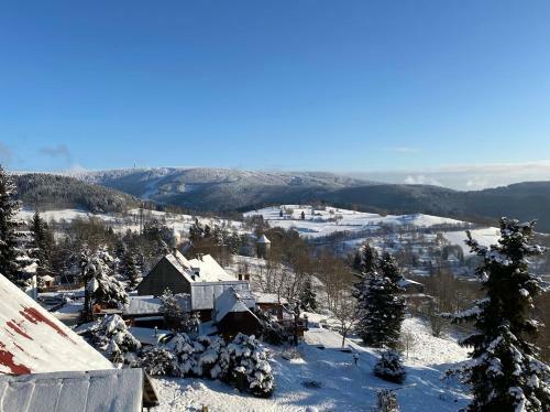 Apartm�ny Nad ?likovkou